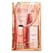 Bath and Body Works CHAMPAGNE TOAST Gift Bag Set - Ultimate Hydration Body Cream - Fine Fragrance Mist - Gentle Gel Hand Soap and Hand Cream arranged inside a transparent gift bag