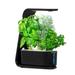 AeroGarden Sprout with Gourmet Herbs Seed Pod Kit Black