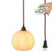 FSLiving Plug in Hanging Swag Lamp no Wiring Needed Portable Pendant Light with Remote Control Stepless dimming Bulb Brass Finished E26 Honeycomb Retro White Hand-Made Glass Lamp Hanging Lamp -1 Light