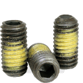 Nylon Patch Socket Set Screws Cup Point 1/2-13 x 2 1/2 Alloy Steel Black Oxide Hex Socket (Quantity: 50)