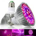 28W LED Grow Light Plant Growth Bulb E26/E27 Base Water Companion Room Garden Greenhouse 150LED Ideal for Indoor Plants Greenhouses Large House Plants Gardens Hydroponics Grow Tent/6PCS