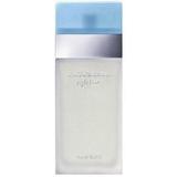 Dolce & Gabbana Light Blue For Women Eau De Toilette Perfume for Women 6.7 Oz