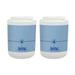 Replacement Water Filter for GE GSS25WSTASS Refrigerator Water Filter (2 Pack)