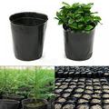 100 Pack 3 Inch Nursery Pot Thick Plastic Round Shape Flower Planting Pots Black Nursery Pot Flower Pots Square Plastic Plant Pot Plant Seedling Pots Seed Starting Pots