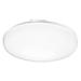 Lithonia Lighting 1-Light Flush Mount