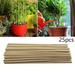 Sufanic 100Pcs 8inch Bamboo Plant Stakes Wood Plant Supports Natural Bamboo Sticks for Plants/Floral/Potted Plant Wooden Sign Posting Garden Sticks