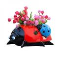 Unique Cute Planter Whimsical Metal Ladybug Succulent Cactus Pot for House Plants - for Outdoor Indoor Spaces for Home Garden Decor