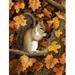 Autumn Grey Squirrel by Daphne Baxter Flag Garden Size