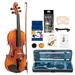 Hassch 4/4 Spruce Panel Violin Kit with Rectangular Case Octagonal Prism Bow Natural