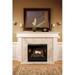 Empire 36 in. Deluxe Tahoe Clean-Face Direct Vent Fireplace Log Set with Natwith Blower - Intermittent Pilot - Natural Gas