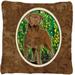 Carolines Treasures SS8969PW1414 Chesapeake Bay Retriever Fabric Decorative Pillow 14Hx14W multicolor