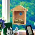 Wooden Bird House with Suction Cup and One-Side Clear Window Window Mounted Bird Nesting Box Garden Patio Decorative Bird Nest Box Window Bird Feeder for Kid/Adults Gifts