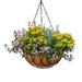 Palm Naki 12 / 25cm Metal Hanging Basket with Butterfly Design and Coco Coir Liner- Set of 4 - Hanging Planters Decorative Plant Hanger Indoor or Outdoor Hanging Planter for Flowers and Plants
