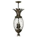 Hinkley Lighting - Plantation - 4 Light Large Pendant in Traditional-Glam Style