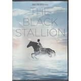 Black Stallion (DVD)