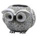 Home & Garden Mini Owl Pudgy Planter Polyresin Garden Porch 12511.