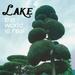 Lake - World Is Real - Rock - Vinyl