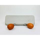 100 Non-Printed Dozen Egg Cartons