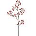 Vickerman 22 Red Mixed Berry Artificial Christmas Spray