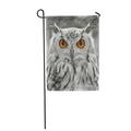 LADDKE Face Owl Bird Feathers Monochrome Monotone Garden Flag Decorative Flag House Banner 28x40 inch