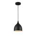 Industrial Style Metal Body Ceiling Pendant with One Light Black