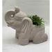 HomeRoots 473235 17 in. Cream Elephant with Succulents Indoor & Outdoor Statue