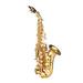 Walmeck Bb Soprano Saxophone Gold Lacquer Brass Sax with Instrument Case Mouthpiece Neck Strap Cleaning Cloth Brush for Musicians Beginners