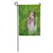 SIDONKU Funny Smiling Dog Lying on Grass Field Mouth Open Shetland Garden Flag Decorative Flag House Banner 12x18 inch