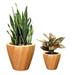 Catleza Self-Watering Round Planter 10.2 L x 10.2 W in Light Wood Color (2-Pc)