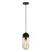 Xtricity - Pendant Light 5.1 Width From Eden Collection Black