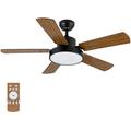 Hottes Low Profile Indoor / Outdoor Ceiling Fan with LED Light and Remote Control 44