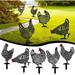 5 Piece Chicken Decoration Handmade Garden Statues Garden Figure Metal Chicken Decoration Handmade Garden Decoration Outdoor Garden Backyard Lawn Family Souvenir Gifts