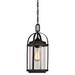 Westinghouse 6339400 Grandview 8 Wide Led Outdoor Mini Pendant - Bronze