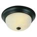 Trans Globe 13619 Flushmount - 15W in.