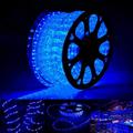 50 Ft Landscape Lighting with Remote LED Fairy Light Indoor/Outdoor Rope Lights for Halloween Christmas Party Bedroom Pool Wedding Garden 4 Modes Blue
