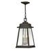 Two Light Outdoor Hanging Lantern in Traditional Style 10 inches Wide By 20.25 inches High Bailey Street Home 81-Bel-3335721