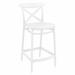 Siesta Cross 25.6 in. Indoor/Outdoor Counter Stool - Set of 2