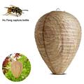 AUPERTO 4 Pack Wasp Nest Decoy Safe Hanging Wasp Deterrent for Hornets Yellow Jackets for Home and Garden Outdoors