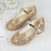 Toddler Little Kid Girls Dress Pumps Glitter Sequins Princess Low Heels Party Dance Shoes Rhinestone Sandals