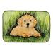 Carolines Treasures SS8476DDM Golden Retriever Dish Drying Mat 14 x 21 multicolor