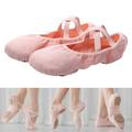 Canvas Pointe Shoes for Toddlers Girls And Ladies Durable Ballet Yoga Dance Shoes for School Or Home