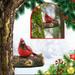 WOXINDA Garden Courtyard Red Bird Decoration European And American Outdoor Decoration Decoration Tree Bird Decoration