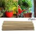 AUQ Plant Stakes Natural Garden Bamboo Sticks for Indoor and Outdoor Plants 25pcs Plant Support Stakes for Tomatoes Beans Potted Plants - 20cm Brown