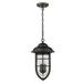 HomeRoots 397961 18.5 x 10 x 10 in. Dylan 3-Light Oil-Rubbed Bronze Hanging Lantern