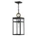 Hinkley Lighting - Porter - 1 Light Medium Outdoor Hanging Lantern in