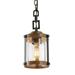LNC 1-Light Farmhouse Matte Black and Nature Wood Brown with Seeded Glass Cylinder Mini Chandelier