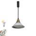 FSLiving Adjusted Wire Length 3.2 Ft H-Type Track Stepless Dimming Remote E26 Base Hanging Light Vintage Design Sliver Metal Pendant Light Fixture for Restaurant Entryway Loft Aisle-1 Light