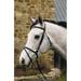 Henri De Rivel Padded Dressage Bridle with Flash and Web Reins