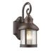 12 in. Lighting Galahad Transitional 1 Light Rubbed Bronze Outdoor Wall Sconce - Oil Rubbed Bronze