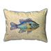 Betsy Drake SN1380 11 x 14 in. Pumpkinseed Fish Indoor & Outdoor Pillow - Small